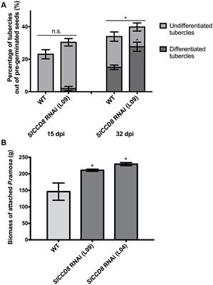 The Role of Endogenous Strigolactones and Their Interaction with ABA during the Infection Process of the Parasitic Weed Phelipanche ramosa in Tomato Plants